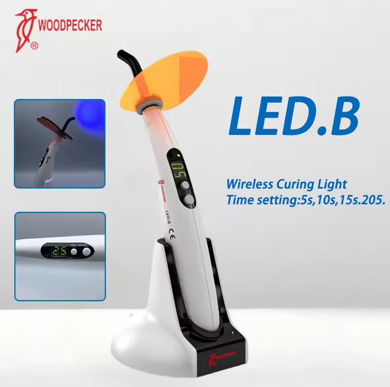 Dental Curing Light Woodpecker - Resin Art Machine avis et prix