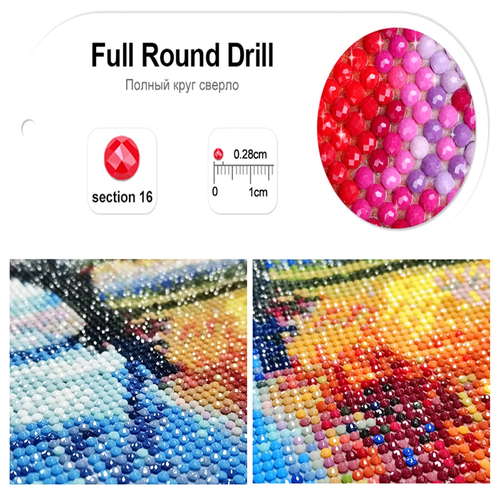 5D DIY Diamond Painting Gratef - Resin Art Of Rose avis et prix