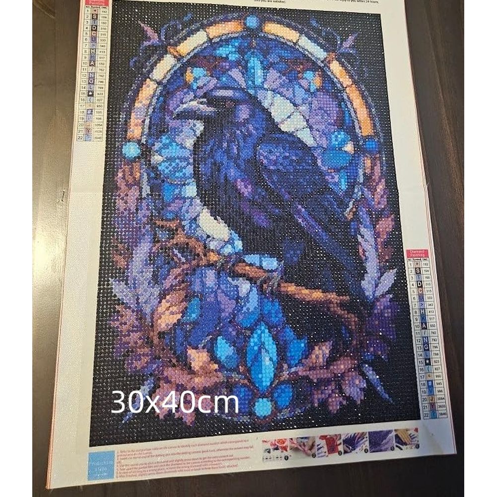 Antique Black Crow Painting 5D - Resin Art Kits For Adults avis et prix