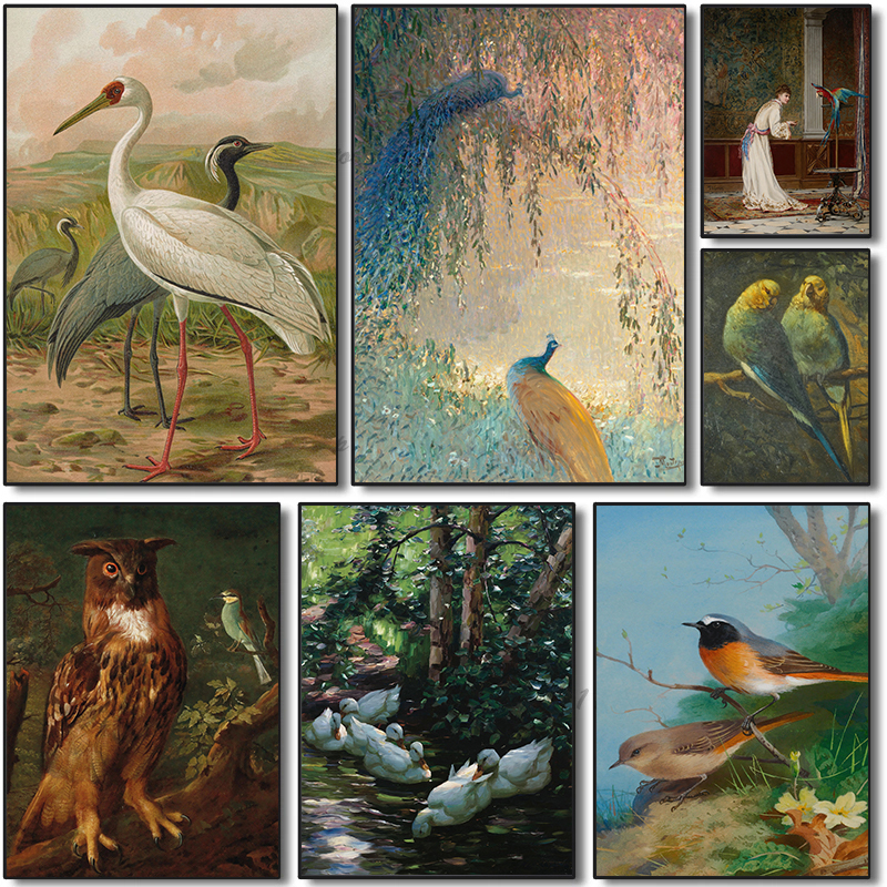 Colorful Vintage Bird Poster B - Resin Art Ideas avis et prix